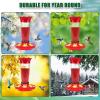 imageFEED GARDEN 10oz Plastic Hummingbird Feeders for Outdoors  2 Pack Ant ampamp Bee Proof 6 Feeding Ports Easy Clean Red Nectar Feeders for Outside Hanging Gifts for MomTransparent 10OZ1Pack
