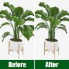 imageFEED GARDEN 12 Pack Plant Support Stakes Peony Cages and Supports Metal Garden Plant Stake10quot Wide x 16quot High Green Half Round Plant Support Rings for Outdoor Indoor Plants Tomato HydrangeaGreen10W x 24H