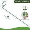 imageFEED GARDEN 16 Inch 12 Pack Plant Support Stakes Metal Garden Flower Stakes and Supports for Outdoor Plants Plant Stem Support with 24 Twist Ties for Amaryllis Lily Rose Peony Tomatoes Gladiolus