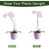 imageFEED GARDEN 16 Inch 12 Pack Plant Support Stakes Metal Garden Flower Stakes and Supports for Outdoor Plants Plant Stem Support with 24 Twist Ties for Amaryllis Lily Rose Peony Tomatoes Gladiolus