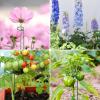 imageFEED GARDEN 16 Inch 12 Pack Plant Support Stakes Metal Garden Flower Stakes and Supports for Outdoor Plants Plant Stem Support with 24 Twist Ties for Amaryllis Lily Rose Peony Tomatoes Gladiolus