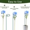 imageFEED GARDEN 16 Inch 12 Pack Plant Support Stakes Metal Garden Flower Stakes and Supports for Outdoor Plants Plant Stem Support with 24 Twist Ties for Amaryllis Lily Rose Peony Tomatoes Gladiolus
