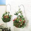 imageFEED GARDEN 2 Pack 8 Inch Hanging Plant Bracket Wall Hooks Decorative Plant Hangers for Outdoor Hanging Bird Feeders Wind Chimes Plant Baskets BlackWhite