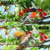 imageFEED GARDEN Deer Netting Deer Fence Netting 7 x 100 Feet for Garden Protection Reusable Protective for Plants Fruit Trees Vegetables Against Birds and Other Animals