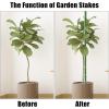 imageFEED GARDEN Garden Stakes 24 Inch 2ft 25 PackSturdy Plant Metal Sticks SupportPlastic Coated Plant StakesTomato StakesBeansTrees1