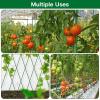 imageFEED GARDEN Garden Stakes 24 Inch 2ft 25 PackSturdy Plant Metal Sticks SupportPlastic Coated Plant StakesTomato StakesBeansTrees1