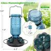 imageFEED GARDEN Glass Hummingbird Feeder for Outdoors Hanging 16 OZ Humming Birds Feeders with 4 Bee Guard Feeding Ports ampamp Builtin Ant Moat Bird Feeder for Outside Gifts for Women Mom RedBlue
