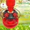 imageFEED GARDEN Glass Hummingbird Feeder for Outdoors Hanging 16 OZ Humming Birds Feeders with 4 Bee Guard Feeding Ports ampamp Builtin Ant Moat Bird Feeder for Outside Gifts for Women Mom RedRed