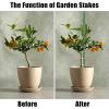 imageFEED GARDEN Garden Stakes 72 Inch 6ft 25 Pack Sturdy Plant Metal Sticks Support Plastic Coated Plant StakesTomato Stakes BeansTrees1