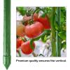 imageFEED GARDEN Garden Stakes 72 Inch 6ft 25 Pack Sturdy Plant Metal Sticks Support Plastic Coated Plant StakesTomato Stakes BeansTrees1