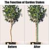 imageFEED GARDEN Garden Stakes 72 Inch 6ft 25 Pack Sturdy Plant Metal Sticks Support Plastic Coated Plant StakesTomato Stakes BeansTrees1