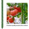 imageFEED GARDEN Garden Stakes 72 Inch 6ft 25 Pack Sturdy Plant Metal Sticks Support Plastic Coated Plant StakesTomato Stakes BeansTrees1