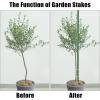 imageFEED GARDEN Garden Stakes 72 Inch 6ft 25 Pack Sturdy Plant Metal Sticks Support Plastic Coated Plant StakesTomato Stakes BeansTrees1