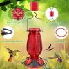 imageFEED GARDEN Glass Hummingbird Feeder  Double Shepherds Hooks 92 1 Pack