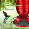 imageFEED GARDEN Glass Hummingbird Feeder 16 Oz Pink  20oz Red
