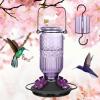 imageFEED GARDEN Glass Hummingbird Feeder 16 Oz Purple  20oz Red