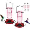 imageFEED GARDEN Glass Hummingbird Feeder 16 oz Hanging Outdoor Feeder with BeeProof Ports Ant Moat Leakproof Easy to Clean amp Refill 360 Perch PurplePink
