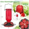 imageFEED GARDEN Glass Hummingbird Feeder and Metal Bird Feeder