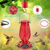 imageFEED GARDEN Glass Hummingbird Feeder for Outdoors Hanging 20 OZ Humming Birds Feeders with 4 Bee Guard Feeding Ports amp Builtin Ant Moat Bird Feeder for Outside Red2 PackRed