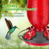 imageFEED GARDEN Glass Hummingbird Feeder for Outdoors Hanging 20 OZ Humming Birds Feeders with 4 Bee Guard Feeding Ports amp Builtin Ant Moat Bird Feeder for Outside Red2 PackRed