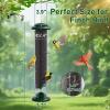imageFEED GARDEN Plastic Tube Bird Feeder  Glass Hummingbird Feeder