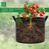 imageFEED GARDEN 5 Gallon Grow Bags 4 Pack  300G NonWoven Thickened Fabric Plant Pots with Reinforced Handles Breathable Drainage Planters for Vegetables Flowers amp Herbs Indoor Outdoor8