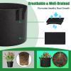 imageFEED GARDEN 5 Gallon Grow Bags 4 Pack  300G NonWoven Thickened Fabric Plant Pots with Reinforced Handles Breathable Drainage Planters for Vegetables Flowers amp Herbs Indoor Outdoor8