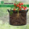 imageFEED GARDEN 5 Gallon Grow Bags 4 Pack  300G NonWoven Thickened Fabric Plant Pots with Reinforced Handles Breathable Drainage Planters for Vegetables Flowers amp Herbs Indoor Outdoor4