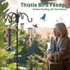 image:imageFEED GARDEN 2 Pack Tube Bird Feeders for Outdoors Hanging  Premium Hard Plastic Wild Bird Feeder with 6 Ports Easy Refill amp Clean 15 Inch Green15 inchMetal1P
