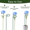 image:imageFEED GARDEN 36 Inch 12 Pack Plant Support Stakes Metal Garden Flower Stakes and Supports for Outdoor Plants Plant Stem Support with 24 Twist Ties for Amaryllis Lily Rose Peony Tomatoes Gladiolus12