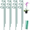 image:imageFEED GARDEN 36 Inch 12 Pack Plant Support Stakes Metal Garden Flower Stakes and Supports for Outdoor Plants Plant Stem Support with 24 Twist Ties for Amaryllis Lily Rose Peony Tomatoes Gladiolus12