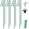 image:imageFEED GARDEN 36 Inch 12 Pack Plant Support Stakes Metal Garden Flower Stakes and Supports for Outdoor Plants Plant Stem Support with 24 Twist Ties for Amaryllis Lily Rose Peony Tomatoes Gladiolus12