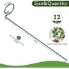 image:imageFEED GARDEN 36 Inch 12 Pack Plant Support Stakes Metal Garden Flower Stakes and Supports for Outdoor Plants Plant Stem Support with 24 Twist Ties for Amaryllis Lily Rose Peony Tomatoes Gladiolus12