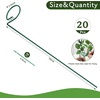 image:imageFEED GARDEN 36 Inch 12 Pack Plant Support Stakes Metal Garden Flower Stakes and Supports for Outdoor Plants Plant Stem Support with 24 Twist Ties for Amaryllis Lily Rose Peony Tomatoes Gladiolus20