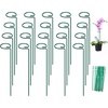 image:imageFEED GARDEN 36 Inch 12 Pack Plant Support Stakes Metal Garden Flower Stakes and Supports for Outdoor Plants Plant Stem Support with 24 Twist Ties for Amaryllis Lily Rose Peony Tomatoes Gladiolus20