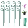 image:imageFEED GARDEN 36 Inch 12 Pack Plant Support Stakes Metal Garden Flower Stakes and Supports for Outdoor Plants Plant Stem Support with 24 Twist Ties for Amaryllis Lily Rose Peony Tomatoes Gladiolus12