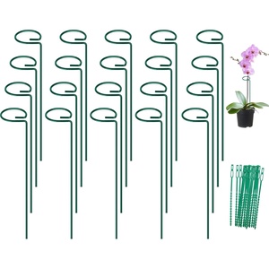 image:imageFEED GARDEN 36 Inch 12 Pack Plant Support Stakes Metal Garden Flower Stakes and Supports for Outdoor Plants Plant Stem Support with 24 Twist Ties for Amaryllis Lily Rose Peony Tomatoes Gladiolus20
